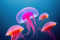 Colorful neon shining jellyfish swimming deep in blue sea. Medusa in fantasy aquatic depth space floating in motion. Royalty Free Stock Photo