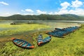 Colorful Nepal Row Boats parked in Phewa Lake a sunny day