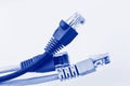 Colorful network cable with RJ45 connectors, blue network cable Royalty Free Stock Photo