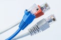 Colorful network cable with RJ45 connectors Royalty Free Stock Photo