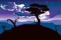 African Night Landscape