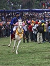 A colorful Nihang Sikh riding a white horse during Hola Mohalla, India