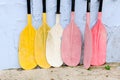 The colorful oar Royalty Free Stock Photo