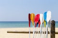 Colorful oars with beach background, water sport, holiday activity at the beac