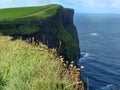 Colorful ocean views, green grassy rocks, rocks and blue water