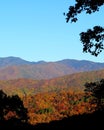 Colorful October fall foliage along the Blueridge Parkway of North Carolina