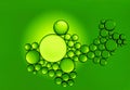 colorful oil drops on a green background water surface Royalty Free Stock Photo