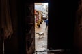 Colorful and old alleys of the touristic Italian city of Bari