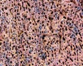 Colorful, old and porous stone surface - abstract background texture