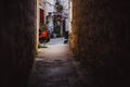 Colorful Old Town street perspective view in Trogir, Dalmatia, Croatia. Kitten in the stone street of Trogir.