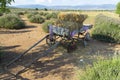 lavender and trailer Royalty Free Stock Photo