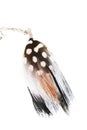 Colorful one separated feather- earring.