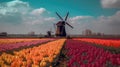 Colorful open field with beautiful tulips. Generative AI