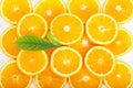 Colorful orange citrus fruit slices Royalty Free Stock Photo