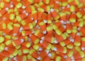 Colorful orange Halloween candy corns Royalty Free Stock Photo