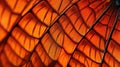 colorful orange macro background intricate