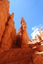 Hoodoos in Bryce Canyon, Utah, USA Royalty Free Stock Photo