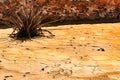 Mineral sediments in a dry lake of an old abandoned mine