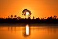 Colorful orange sunset over Pine Glades Lake in Everglades National Park. Royalty Free Stock Photo
