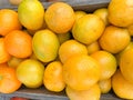 Colorful oranges at a fruit and vegetable stand in Orlando, Florida Royalty Free Stock Photo