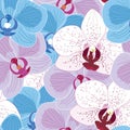 Colorful orchid flowers seamless pattern