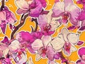 Colorful orchids and branches illustration. Seamless Pattern Background. Royalty Free Stock Photo