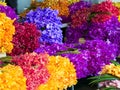 Colorful orchids flowers bouquet in flower shop selling variety Royalty Free Stock Photo