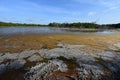 Colorful organic algal bloom in Eco Pond in Everglades National Park. Royalty Free Stock Photo
