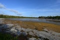 Colorful organic algal bloom in Eco Pond in Everglades National Park. Royalty Free Stock Photo