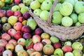 Colorful organic apples