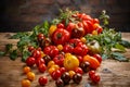 Colorful organic tomatoes Royalty Free Stock Photo