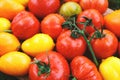 Colorful organic tomatoes from a farm Royalty Free Stock Photo