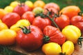 Colorful organic tomatoes from a farm Royalty Free Stock Photo