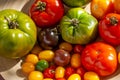 Colorful organic tomatoes Royalty Free Stock Photo