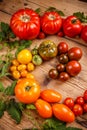 Colorful organic tomatoes Royalty Free Stock Photo