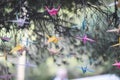Colorful origami cranes Royalty Free Stock Photo