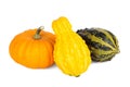 Colorful ornamental pumpkins and gourds isolated on white