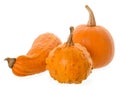 Colorful ornamental pumpkins, gourds and squashes isolated on white background. Variety of colorful ornamental gourds and pumpkin Royalty Free Stock Photo