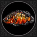 Colorful oscar fish mandala arts. isolated on black background