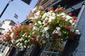 Colorful outdoor flowers in pots on the window. London, U.K Royalty Free Stock Photo