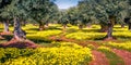 Colorful outdoor scene of Apulia countryside, Italy, Royalty Free Stock Photo