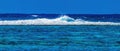 Colorful Outer Reef Waves Blue Water Moorea Tahiti
