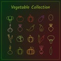 Colorful outline vegetable icon set isolated