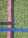 Aerial view green turf painted with black pink blue intersecting lines