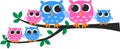 Colorful owl family Royalty Free Stock Photo