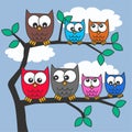 Colorful owls