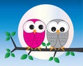 Colorful owls sitting on a branch Royalty Free Stock Photo