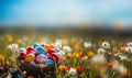 Colorful painted Easter eggs in basket in fresh green grass in the spring. Blue sky and colorful flowers. Happy Easter Royalty Free Stock Photo