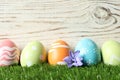 Colorful painted Easter eggs with flowers on green grass against wooden background