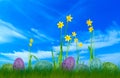 Colorful painted easter eggs on grass with daffodils and blue sky Royalty Free Stock Photo